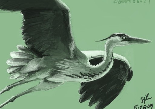 heron