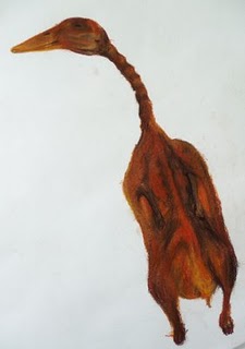 烤鸭 (Dried Duck)