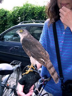 Why yes! I do have an exotic bird attached to my bike